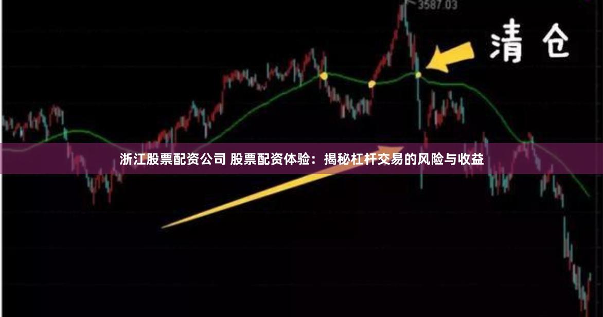浙江股票配资公司 股票配资体验:揭秘杠杆交易的风险与收益