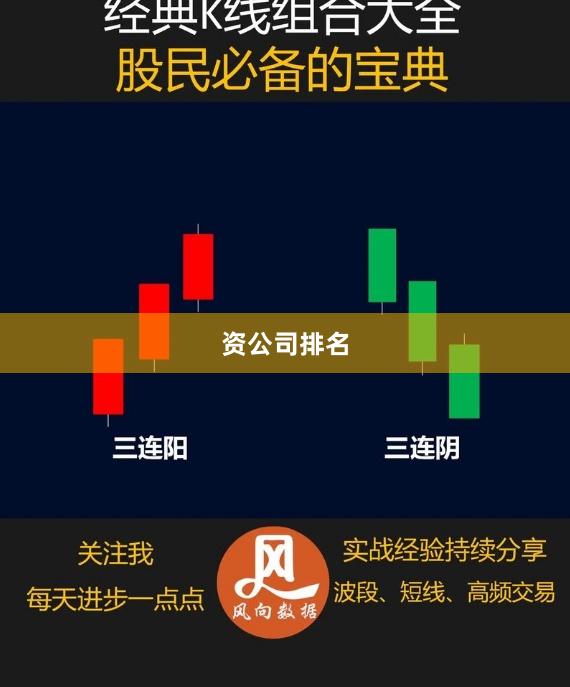 资公司排名