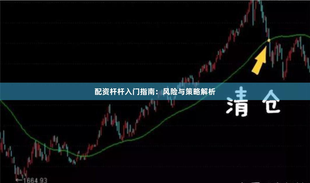 配资杆杆入门指南：风险与策略解析